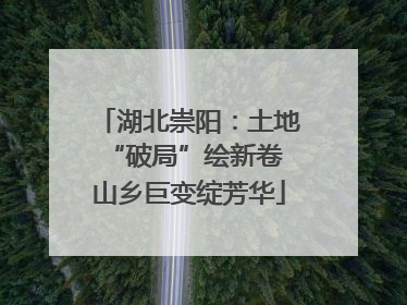 湖北崇阳：土地“破局”绘新卷 山乡巨变绽芳华