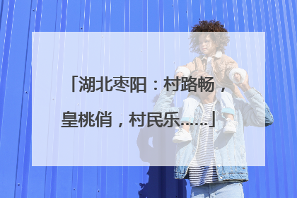湖北枣阳：村路畅，皇桃俏，村民乐……
