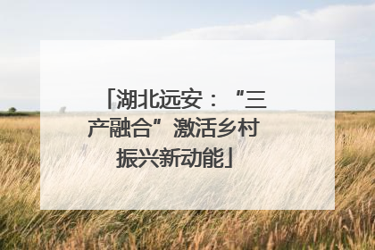 湖北远安：“三产融合”激活乡村振兴新动能