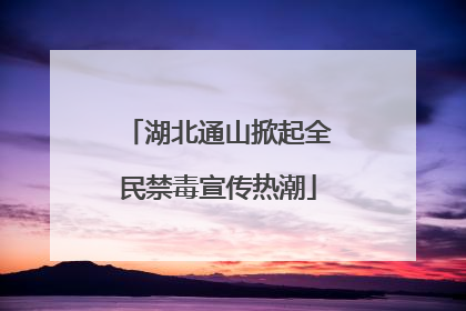 湖北通山掀起全民禁毒宣传热潮