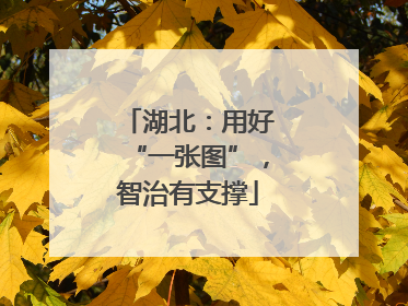 湖北：用好“一张图”，智治有支撑