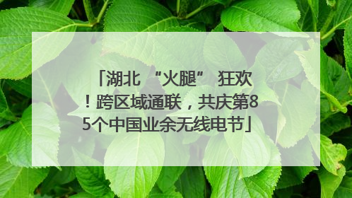 湖北 “火腿” 狂欢！跨区域通联，共庆第85个中国业余无线电节