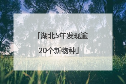 湖北5年发现逾20个新物种