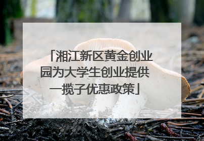 湘江新区黄金创业园为大学生创业提供一揽子优惠政策