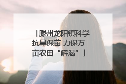 滕州龙阳镇科学抗旱保苗 力保万亩农田“解渴”