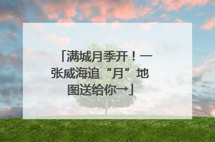 满城月季开！一张威海追“月”地图送给你→