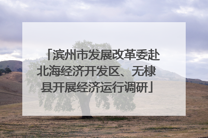 滨州市发展改革委赴北海经济开发区、无棣县开展经济运行调研