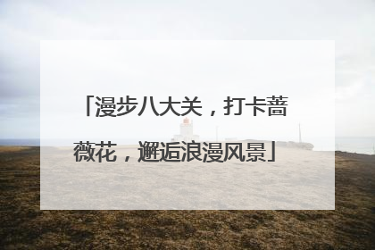 漫步八大关，打卡蔷薇花，邂逅浪漫风景
