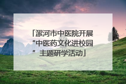漯河市中医院开展“中医药文化进校园”主题研学活动