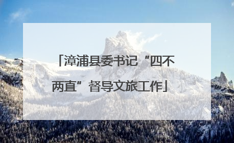 漳浦县委书记“四不两直”督导文旅工作