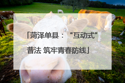 菏泽单县：“互动式”普法 筑牢青春防线