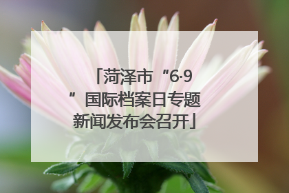 菏泽市“6·9”国际档案日专题新闻发布会召开
