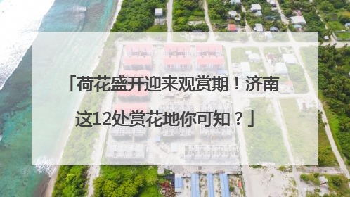 荷花盛开迎来观赏期！济南这12处赏花地你可知？