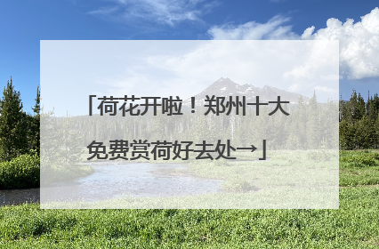 荷花开啦！郑州十大免费赏荷好去处→