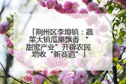 荆州区李埠镇：蔬菜大镇瓜果飘香 “甜蜜产业”开辟农民增收“新赛道”