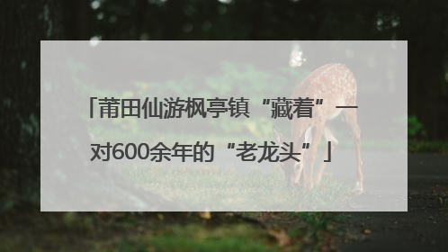莆田仙游枫亭镇“藏着”一对600余年的“老龙头”