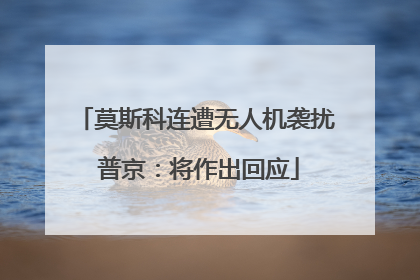 莫斯科连遭无人机袭扰 普京：将作出回应