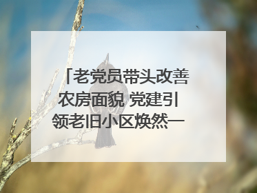 老党员带头改善农房面貌 党建引领老旧小区焕然一新｜内江东兴“红”在哪？④