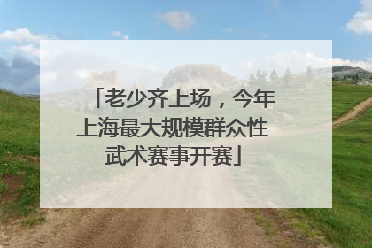 老少齐上场，今年上海最大规模群众性武术赛事开赛