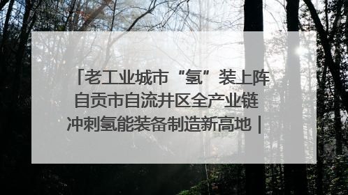 老工业城市“氢”装上阵 自贡市自流井区全产业链冲刺氢能装备制造新高地｜美好生活有“盐”味