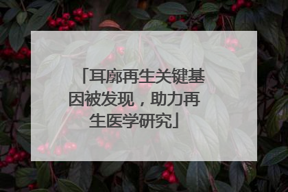 耳廓再生关键基因被发现，助力再生医学研究