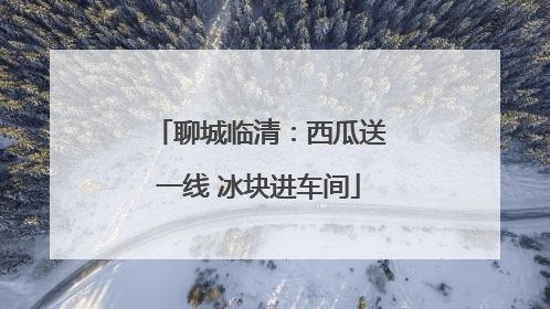 聊城临清：西瓜送一线 冰块进车间