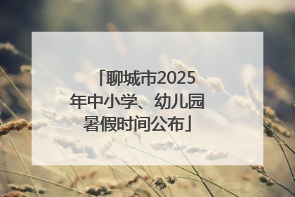 聊城市2025年中小学、幼儿园暑假时间公布