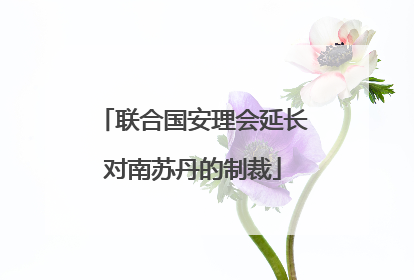 联合国安理会延长对南苏丹的制裁