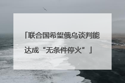 联合国希望俄乌谈判能达成“无条件停火”