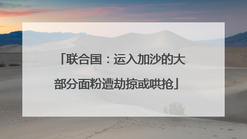 联合国：运入加沙的大部分面粉遭劫掠或哄抢