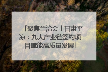 聚焦兰洽会丨甘肃平凉：九大产业链签约项目赋能高质量发展