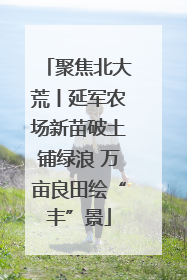 聚焦北大荒丨延军农场新苗破土铺绿浪 万亩良田绘“丰”景