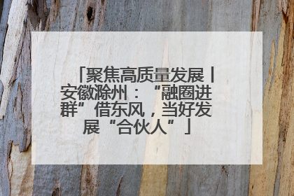 聚焦高质量发展丨安徽滁州：“融圈进群”借东风，当好发展“合伙人”