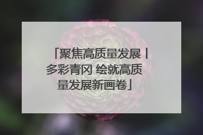 聚焦高质量发展丨多彩青冈 绘就高质量发展新画卷