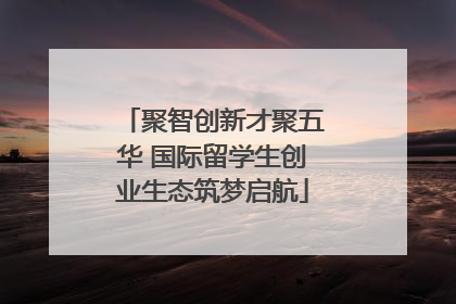 聚智创新才聚五华 国际留学生创业生态筑梦启航
