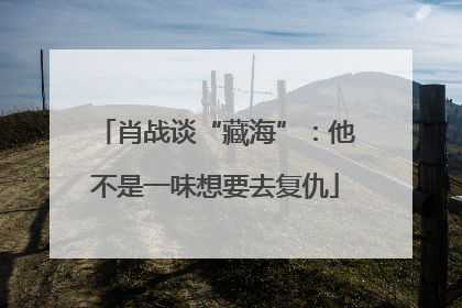 肖战谈“藏海”：他不是一味想要去复仇