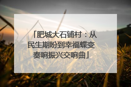 肥城大石铺村：从民生期盼到幸福蝶变奏响振兴交响曲