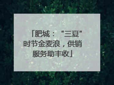 肥城：“三夏”时节金麦浪，供销服务助丰收