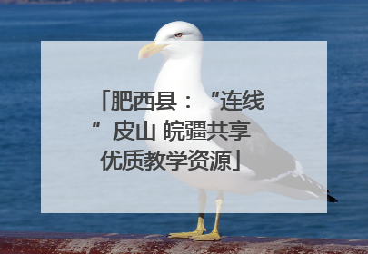 肥西县：“连线”皮山 皖疆共享优质教学资源