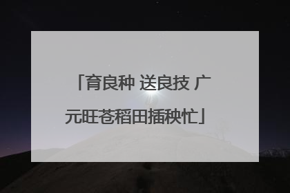 育良种 送良技 广元旺苍稻田插秧忙