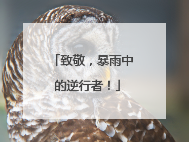 致敬，暴雨中的逆行者！