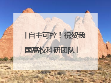 自主可控！祝贺我国高校科研团队