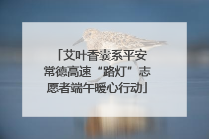 艾叶香囊系平安 常德高速“路灯”志愿者端午暖心行动