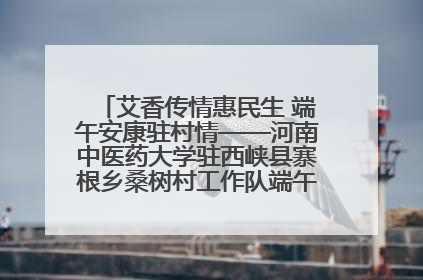 艾香传情惠民生 端午安康驻村情——河南中医药大学驻西峡县寨根乡桑树村工作队端午中医惠民记