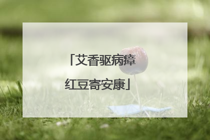 艾香驱病瘴 红豆寄安康