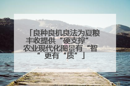 良种良机良法为夏粮丰收提供“硬支撑” 农业现代化图景有“智”更有“质”