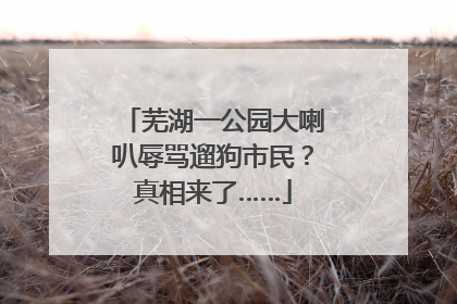 芜湖一公园大喇叭辱骂遛狗市民？真相来了……