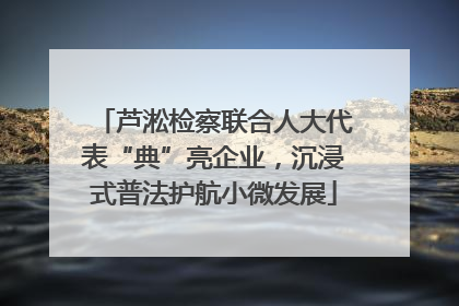 芦淞检察联合人大代表“典”亮企业，沉浸式普法护航小微发展