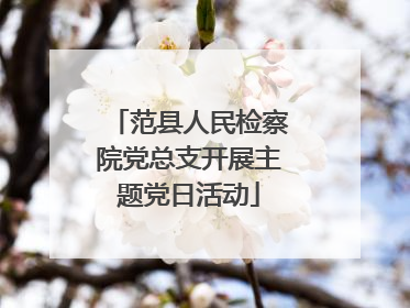 范县人民检察院党总支开展主题党日活动