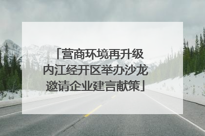 营商环境再升级 内江经开区举办沙龙邀请企业建言献策